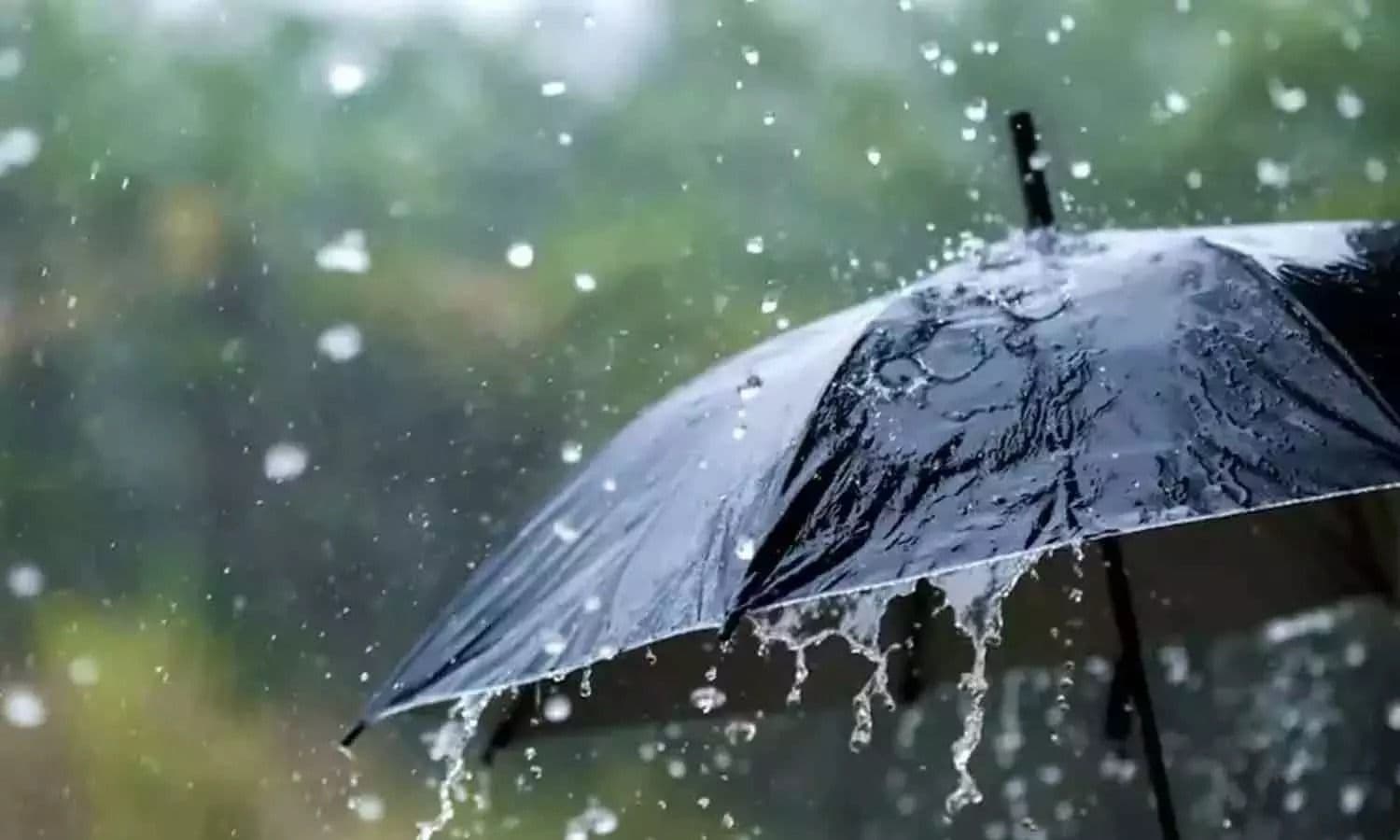 സംസ്ഥാനത്ത് ചൊവ്വാഴ്ച വരെ മഴക്ക് സാധ്യത; ഒമ്പത് ജില്ലകളിൽ യെല്ലോ അലർട്ട്