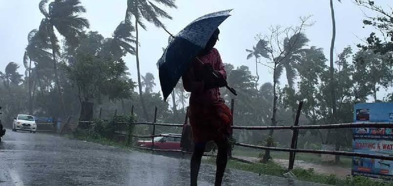 വടക്കൻ ജില്ലകളിൽ ശക്തമായ മഴയ്ക്ക് സാധ്യത, അഞ്ചിടത്ത് യെല്ലോ അലർട്ട്