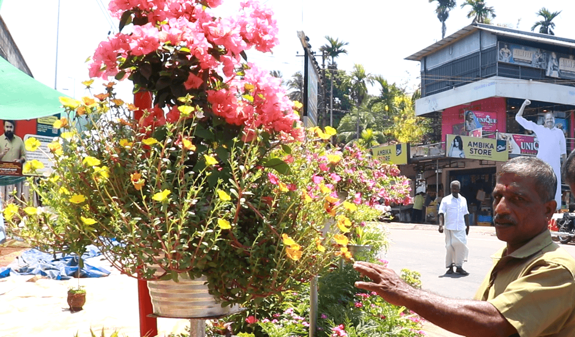 മാലിന്യം കെട്ടിക്കിടന്ന പൊതുസ്ഥലം പൂന്തോട്ടമാക്കിയ പ്രകൃതി സ്നേഹി