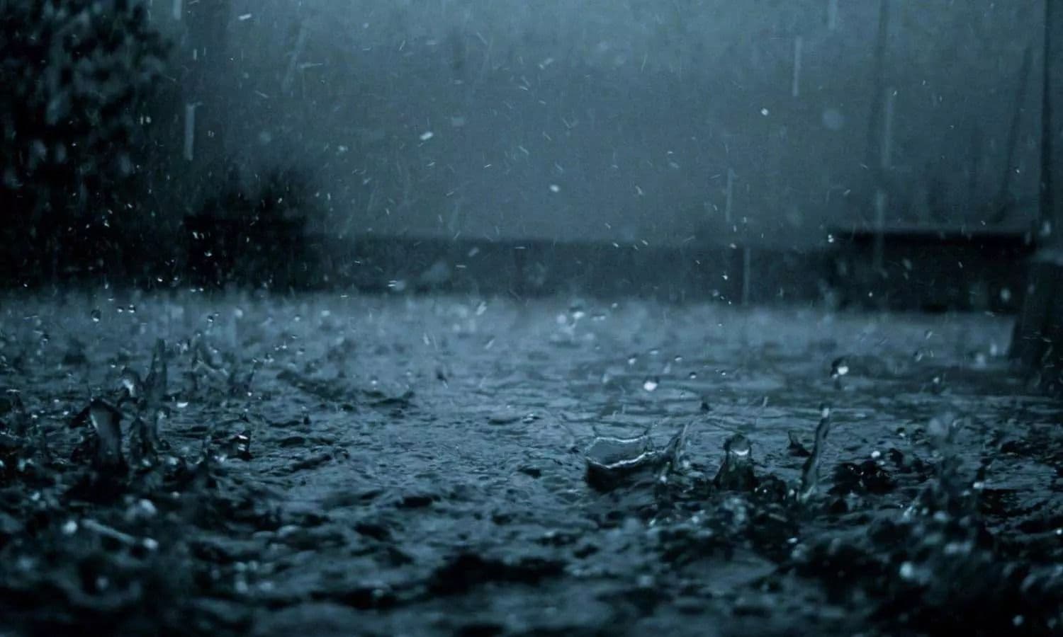 കോഴിക്കോട്ട് വീടിന് മുകളിലേക്ക് മരം കടപുഴകി വീണ് വീട് തകർന്നു; വീട്ടുകാർക്ക് പരിക്ക്
