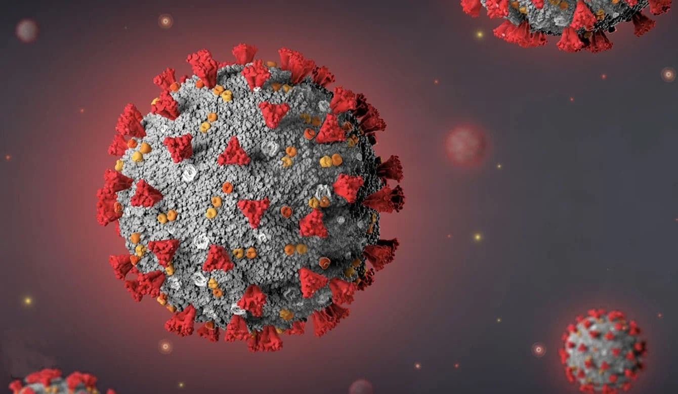 കോവിഡ് വൈറസിന്റെ പുതിയ വകഭേദം അതിവേഗം പടരുന്നു