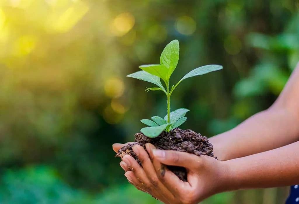 ലോക പരിസ്ഥിതി ദിനം 2026: പ്രകൃതിയെ സംരക്ഷിക്കൂ, ഭാവിയെ സുരക്ഷിതമാക്കൂ