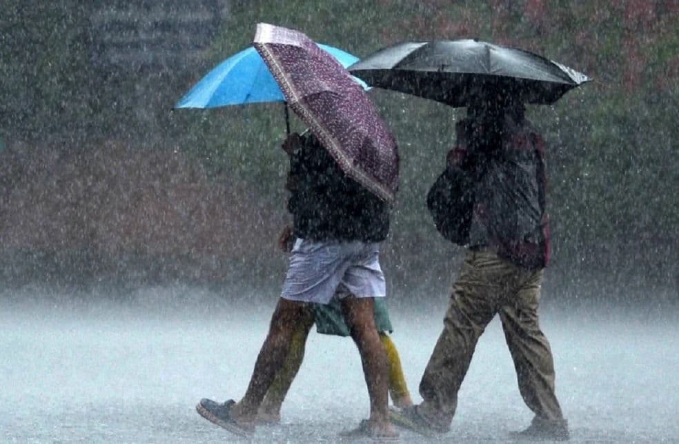 മഴക്കൊപ്പം ഇടിമിന്നലും ശക്തമായ കാറ്റിനും സാധ്യത; ഇന്ന് നാല് ജില്ലകളിൽ യെല്ലോ അലർട്ട്