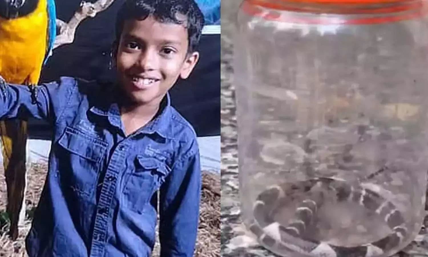 വീട്ടിനുള്ളിൽ വീണ്ടും പാമ്പിനെ കണ്ടെത്തി