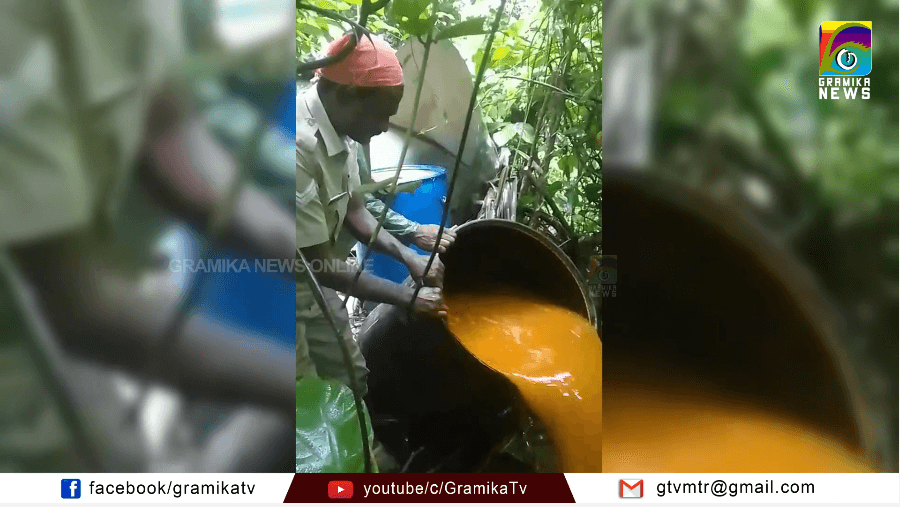ഓപ്പറേഷൻ തണ്ടർ: മാലൂർ മേഖലയിൽ 400 ലിറ്റർ വാഷ് കണ്ടെടുത്തു.