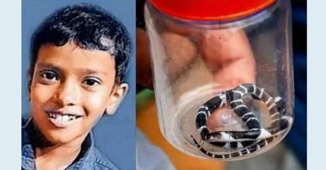 പാമ്പുകടിയേറ്റ് ചികിത്സയിൽ കഴിയുന്ന അനോഷിന്റെ ആരോഗ്യ നിലയിൽ പുരോഗതി